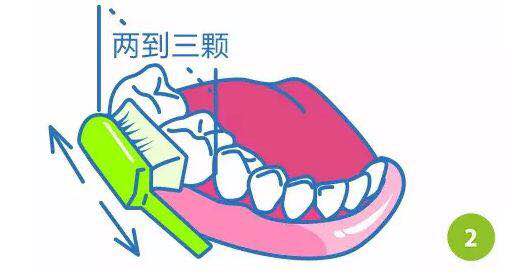 如何正确刷牙?(图2) 如何正确刷牙?(图2)